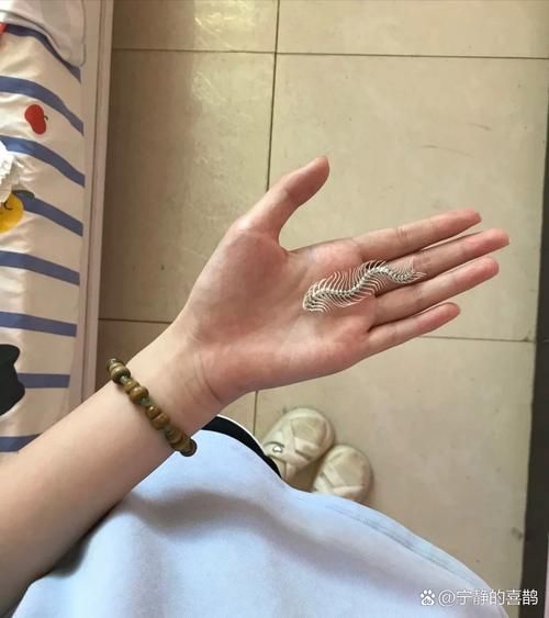 如何判斷龍魚是否缺鈣或維生素？，如何判斷龍魚是否缺鈣