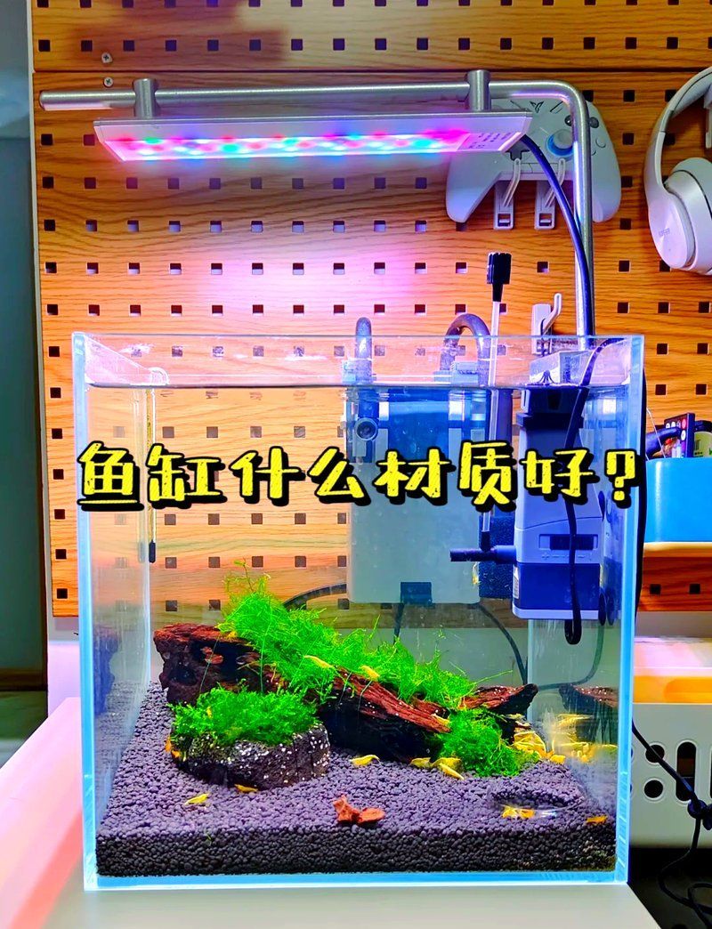 如何判斷龍魚魚缸材質的優劣？，如何判斷龍魚魚缸材質優劣