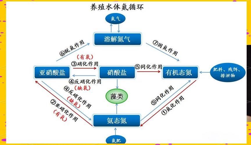 如何改善祥龍魚場(chǎng)的水質(zhì)？，如何改善祥龍魚場(chǎng)水質(zhì)