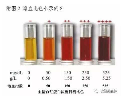 亞甲基藍和黃粉的副作用有哪些，亞甲基藍與黃粉的副作用