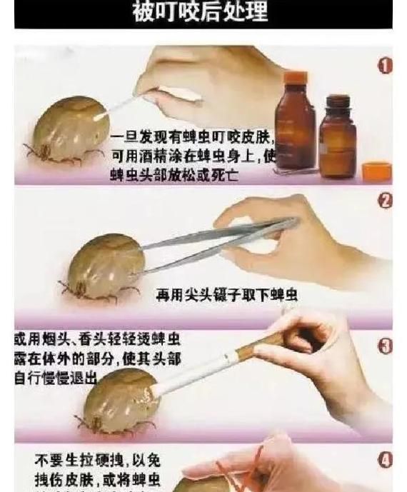 如何預防魚虱對人體危害，如何預防魚虱