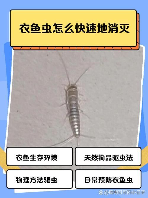 如何預防魚虱對人體危害，如何預防魚虱