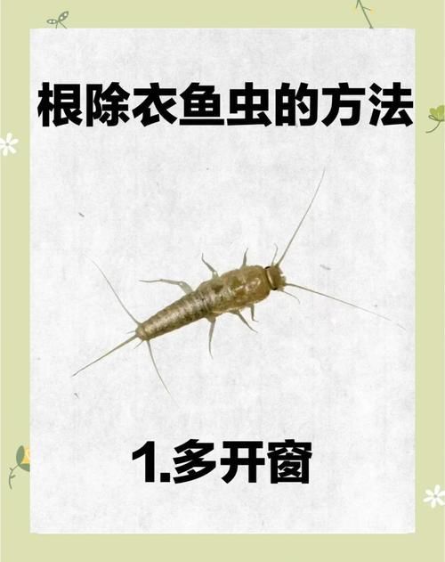 如何預防魚虱對人體危害，如何預防魚虱