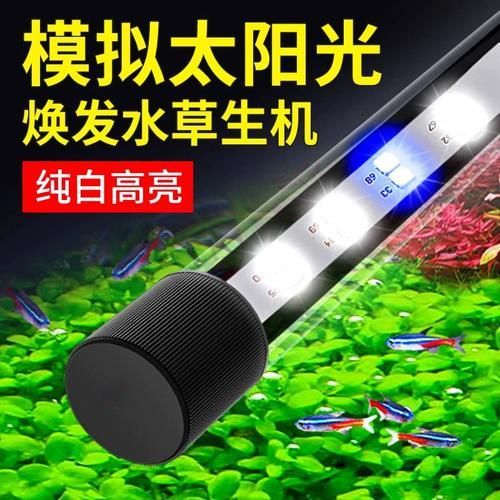 給我推薦幾款性價比高的龍魚增艷燈，性價比高的龍魚增艷燈