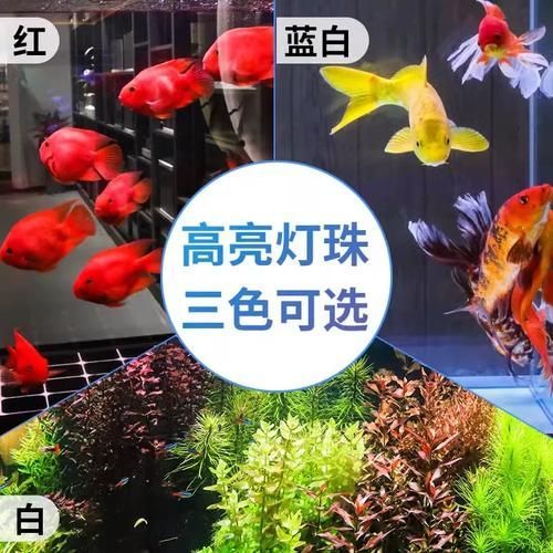 給我推薦幾款性價比高的龍魚增艷燈，性價比高的龍魚增艷燈