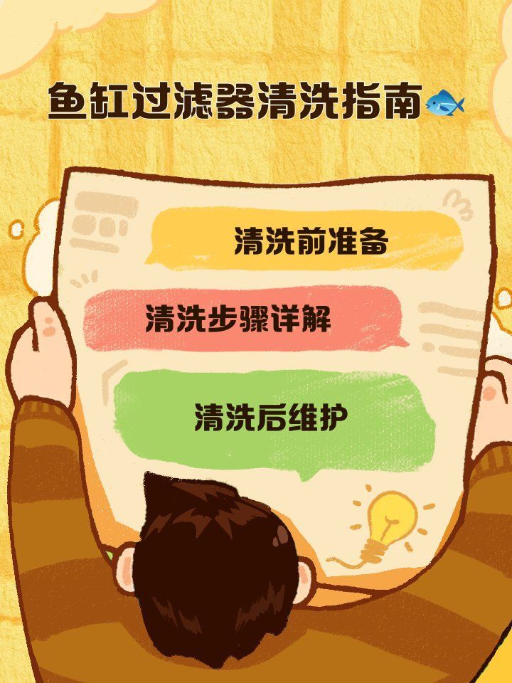 龍魚缸過濾器多久清洗一次？，龍魚缸過濾器多久清洗一次