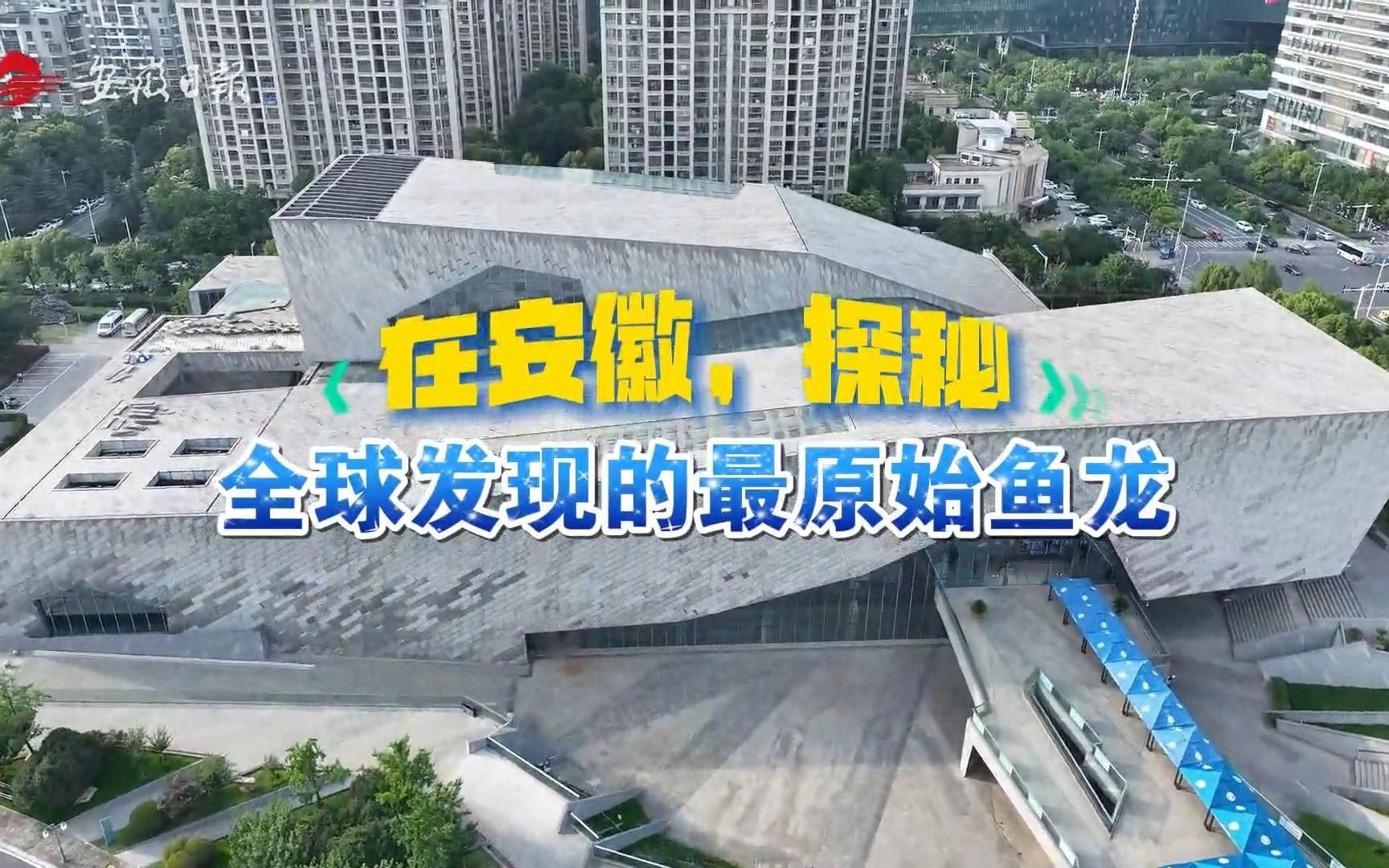 巢湖龍和居巢龍魚(yú)有什么區(qū)別？