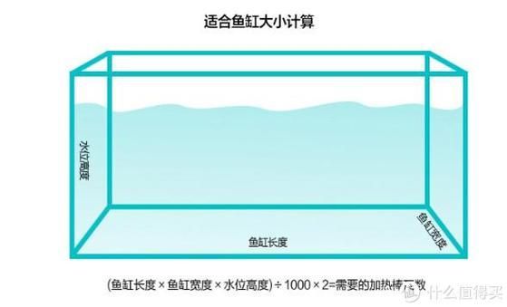 如何判斷魚缸尺寸是否合適,如何判斷魚缸尺寸