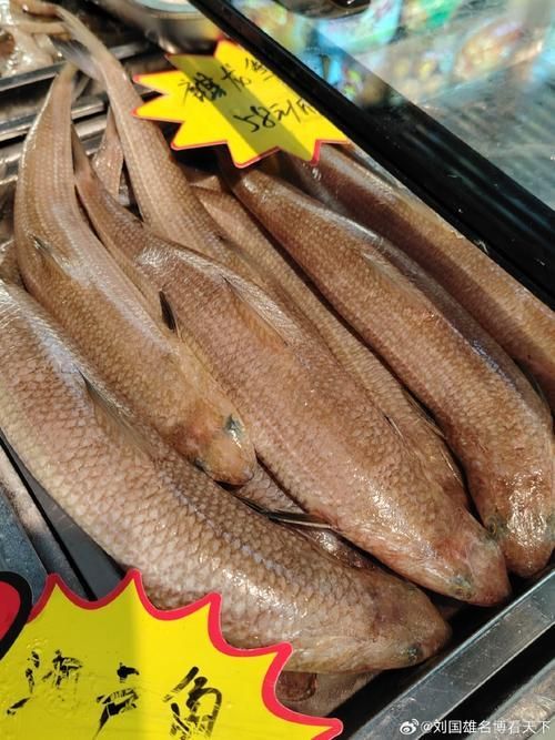 奎龍魚的市場價格未來走勢如何，奎龍魚市場價格未來走勢如何奎龍魚市場價格未來走勢如何