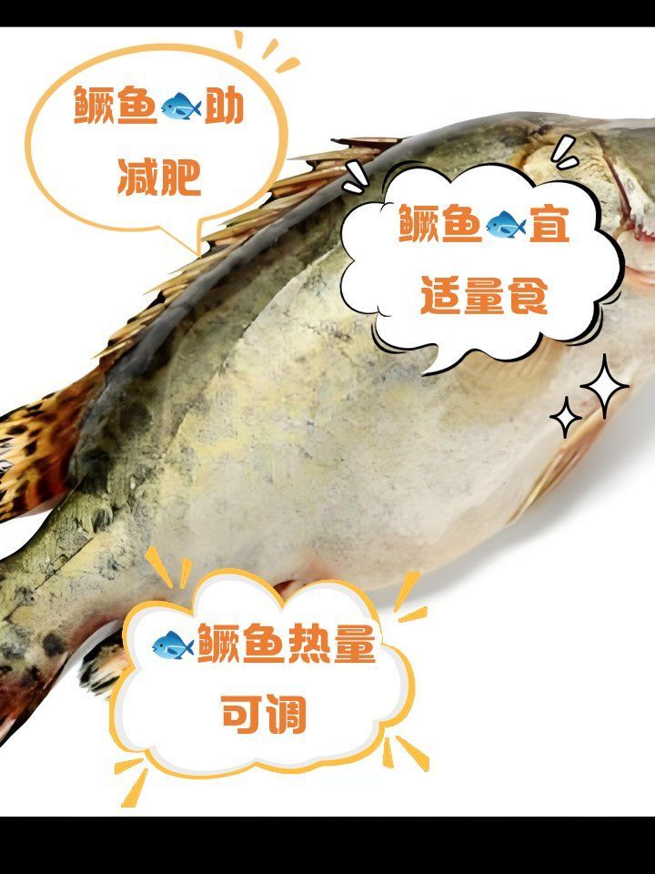 鱖魚的熱量是多少，營養師盛清漓鱖魚熱量區汝海醫生盛清漓紅龍魚壁紙推薦