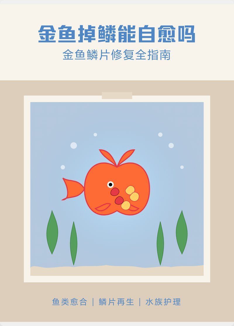 金魚魚鱗掉了會自己長出來嗎，金魚魚鱗掉了會自己長出來嗎金魚魚鱗掉了會自己長出來嗎