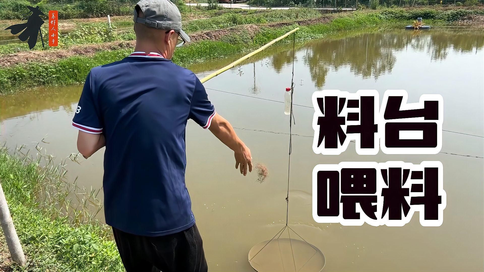 蝦類投喂時需要注意什么，蝦類投喂時需要注意什么？