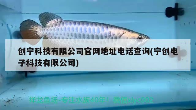 創(chuàng)寧科技有限公司官網(wǎng)地址電話查詢(寧創(chuàng)電子科技有限公司)
