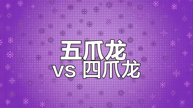 四角龍與五爪龍有何區別？，《四角龍與五爪龍有何區別》四角龍與五爪龍的區別 四角龍與五爪龍有何區別？，《四角龍與五爪龍有何區別》四角龍與五爪龍的區別 龍魚百科 第4張