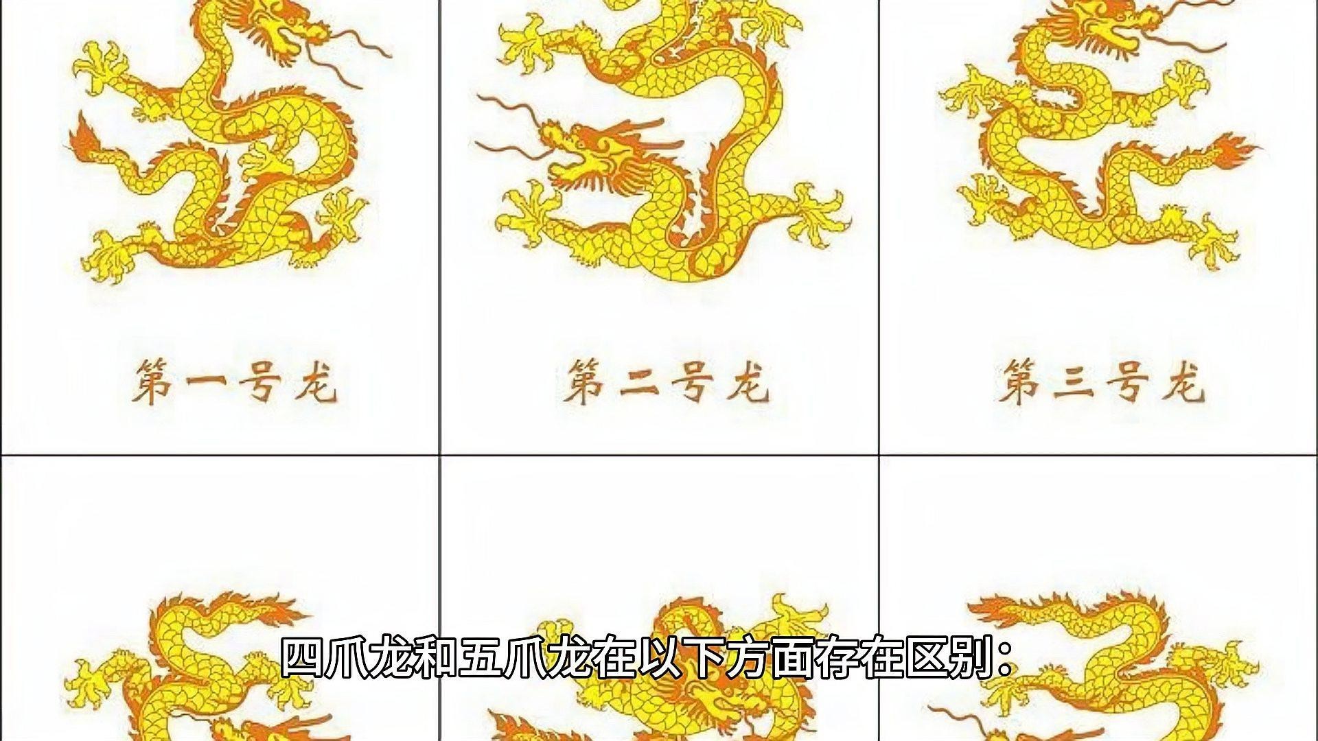 四角龍與五爪龍有何區別？，《四角龍與五爪龍有何區別》四角龍與五爪龍的區別 四角龍與五爪龍有何區別？，《四角龍與五爪龍有何區別》四角龍與五爪龍的區別 龍魚百科 第2張