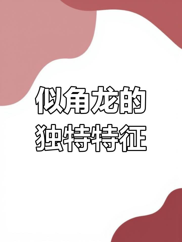 四角龍與五爪龍有何區別？，《四角龍與五爪龍有何區別》四角龍與五爪龍的區別 四角龍與五爪龍有何區別？，《四角龍與五爪龍有何區別》四角龍與五爪龍的區別 龍魚百科 第1張