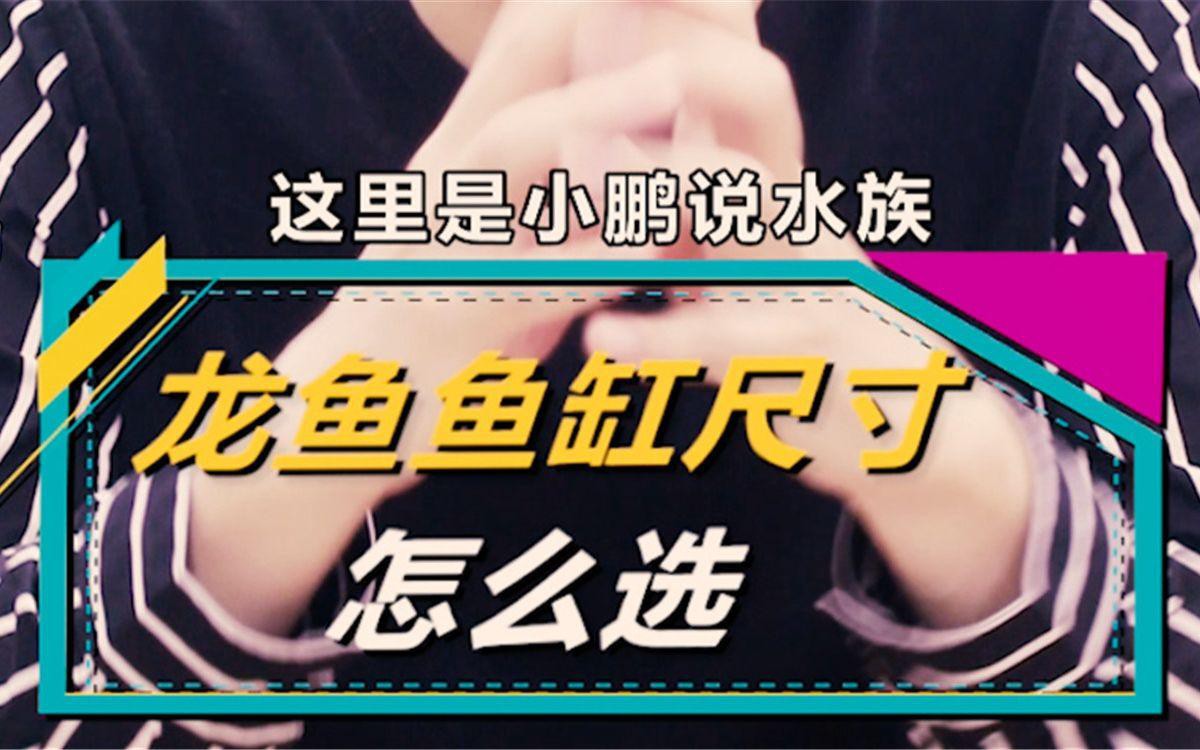 養(yǎng)金龍魚需要多大的缸，養(yǎng)金龍魚需要多大的缸寵物訓(xùn)練師
