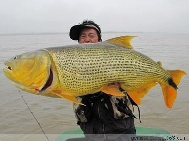 魚缸造景設計圖草稿圖片魚缸造景設計圖草稿設計方案