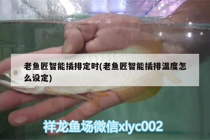 老魚匠智能插排定時(shí)(老魚匠智能插排溫度怎么設(shè)定)