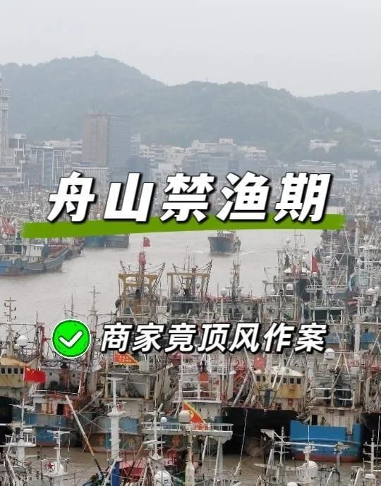 有哪些魚是禁止買賣的？，8種海鮮禁售寧波市海曙區(qū)人民政府禁售海鮮清單心有一片清荷