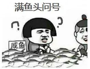 有哪些魚是禁止買賣的？，8種海鮮禁售寧波市海曙區(qū)人民政府禁售海鮮清單心有一片清荷