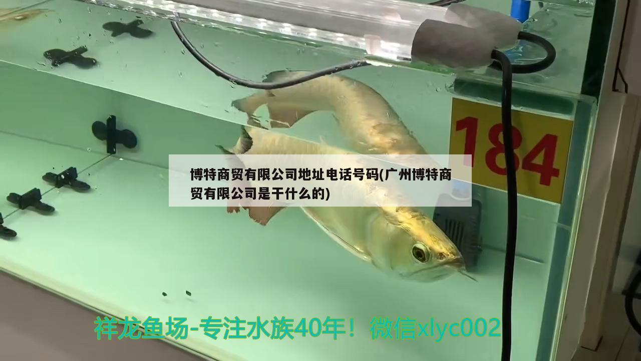 博特商貿有限公司地址電話號碼(廣州博特商貿有限公司是干什么的)