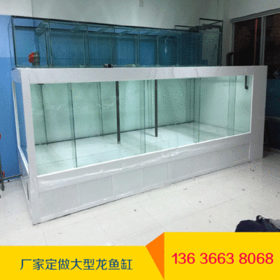 魟魚用多大的缸養合適：養魟魚用多大的缸養合適