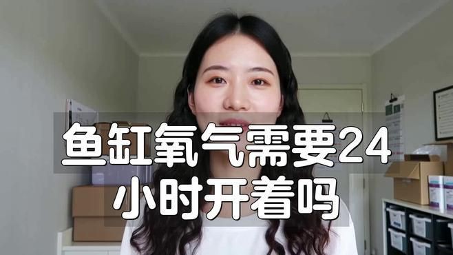 魚缸增氧泵需要一直開著嗎，魚缸增氧泵是否需要一直開著