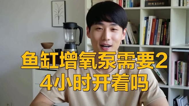 魚缸增氧泵需要一直開著嗎，魚缸增氧泵是否需要一直開著