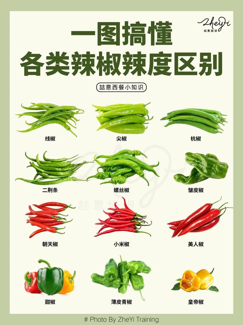 各種辣椒圖片大全大圖【12種辣椒的特點和用途，你知道幾個】
