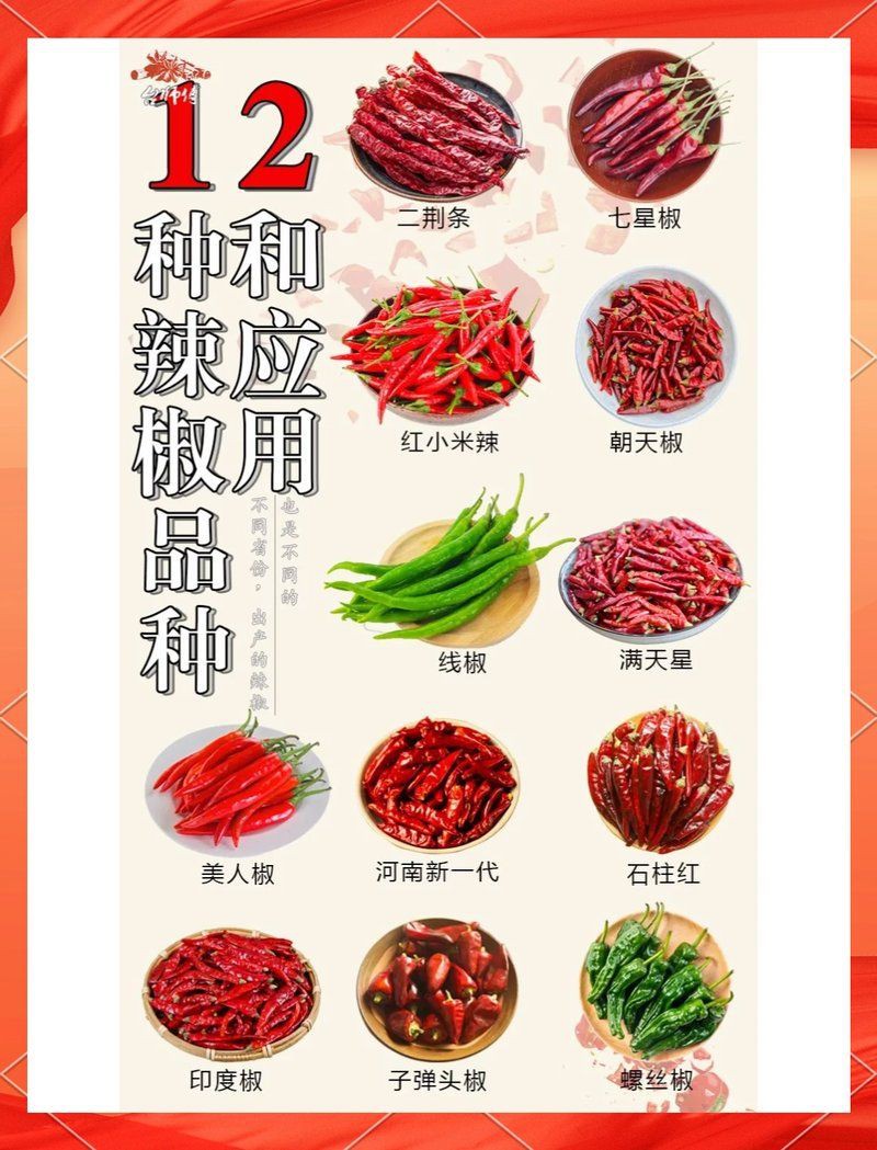 各種辣椒圖片大全大圖【12種辣椒的特點和用途，你知道幾個】
