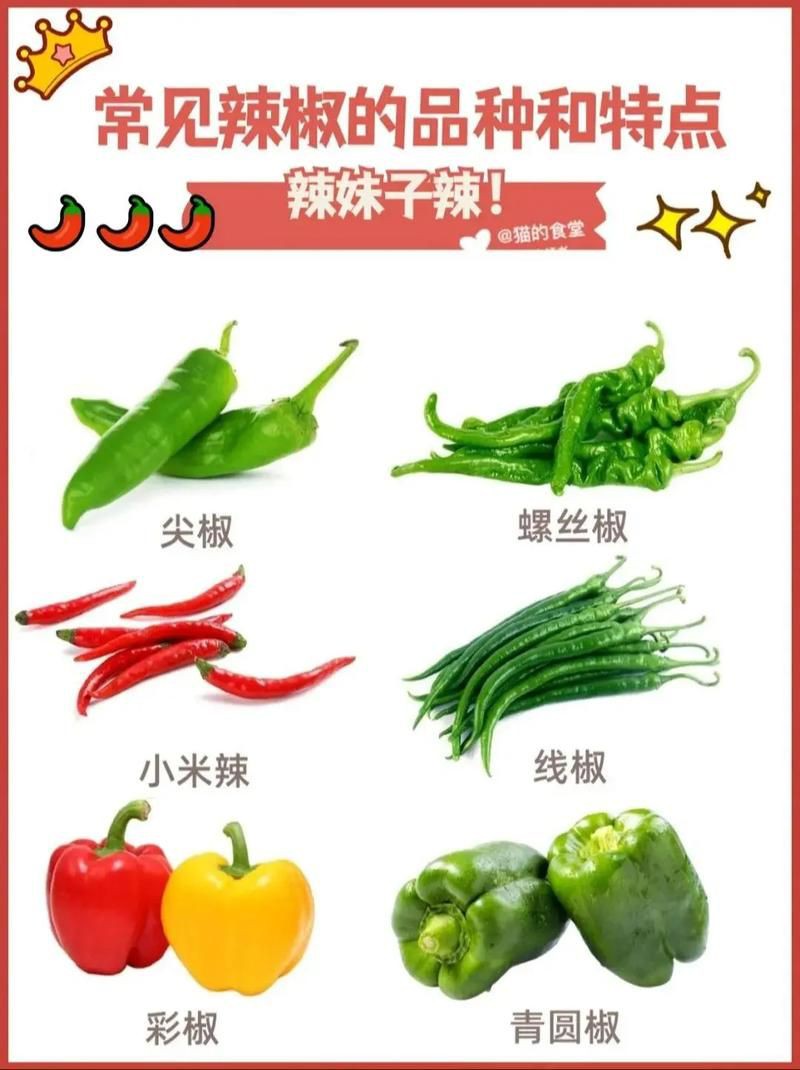 各種辣椒圖片大全大圖【12種辣椒的特點和用途，你知道幾個】