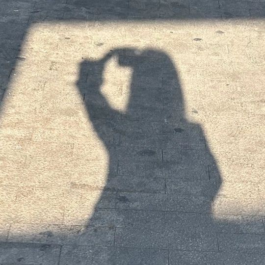 各種辣椒圖片大全大圖【12種辣椒的特點和用途，你知道幾個】