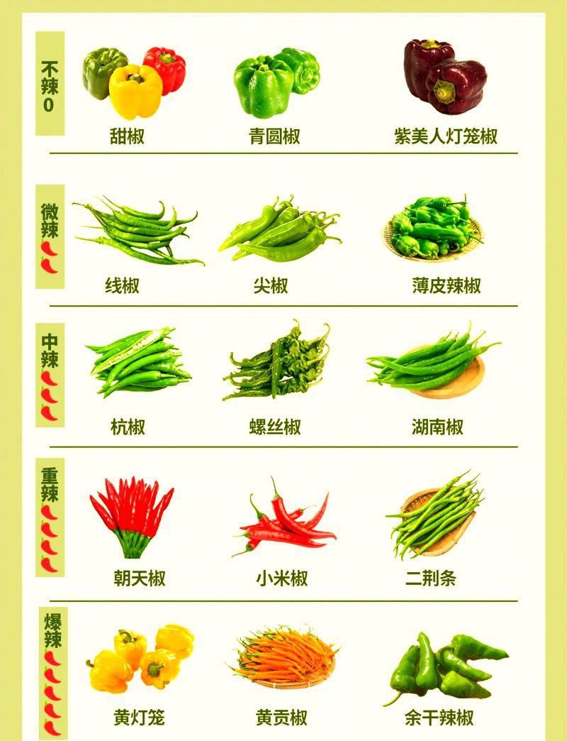 各種辣椒圖片大全大圖【12種辣椒的特點和用途，你知道幾個】
