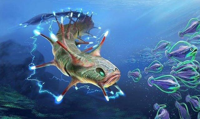 電鰻會被自己電死么，電鰻為什么不會被自己電死 電鰻會被自己電死么，電鰻為什么不會被自己電死 龍魚論壇 第10張