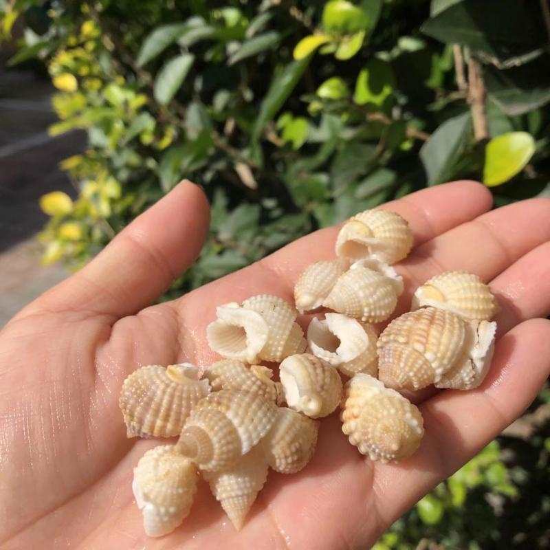 銀龍魚沉底是怎么回事(銀龍魚沉底是什么原因啊)