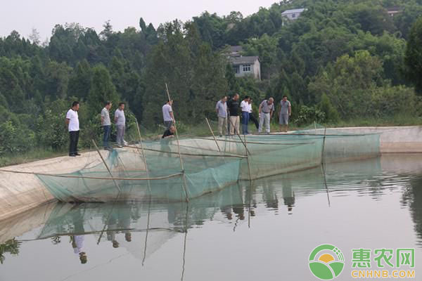 博特水泵怎么調節壓力視頻教程全集(博特水泵控制器怎么用) 博特水族 第1張 博特水泵怎么調節壓力視頻教程全集(博特水泵控制器怎么用) 博特水泵怎么調節壓力視頻教程全集(博特水泵控制器怎么用) 博特水族 第1張