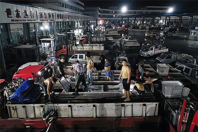 荊州魚缸批發(fā)市場，荊州魚缸批發(fā)市場分析綜合分析荊州魚缸批發(fā)市場現(xiàn)狀