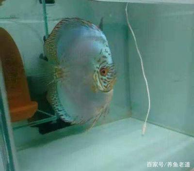 荊門新洋豐中磷肥業(yè)有限公司荊門新洋豐中磷肥業(yè)有限公司怎么樣