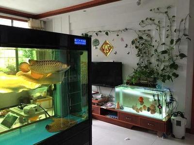 博特水泵和創(chuàng)寧水泵對比(創(chuàng)寧和博特變頻水泵,選哪個?)