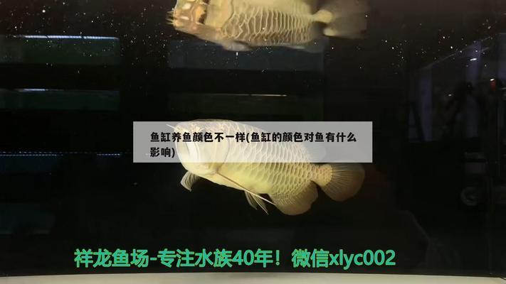 博特魚缸代理電話：博特魚缸代理電話代理電話是您需要的信息是您需要的信息
