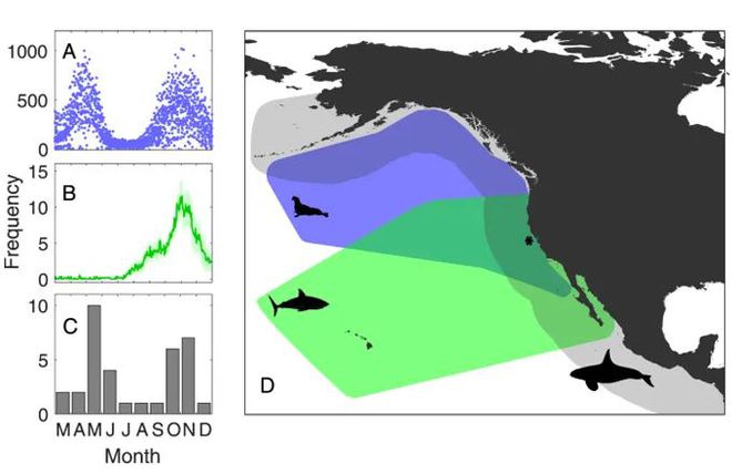 宿州水族館vs祥龍魚場（宿州水族館和祥龍魚場是一個集觀賞、娛樂、科普為一體的水族生物）