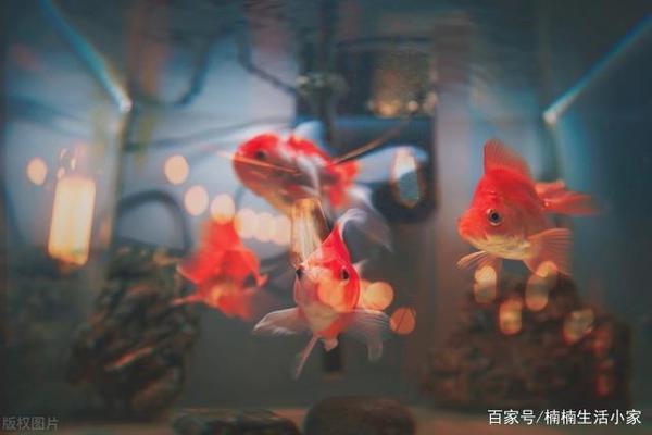 博特曼減壓閥質量怎么樣知乎（慈溪市博特曼減壓閥）