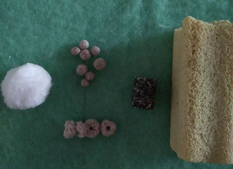瑪豆水族硝化細(xì)菌，瑪豆水族硝化細(xì)菌品牌排行榜京東干粉硝化細(xì)菌品牌排行榜