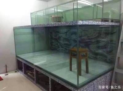 魟魚沒過水直接入缸：[需手動填充]魚過水的基本步驟