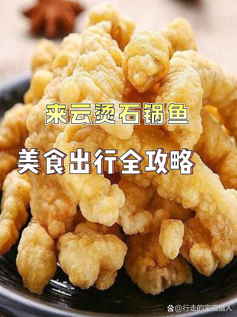寶興龍魚店，寶興龍魚店“封神”之路nocel小明動態(tài)探路nocel小明