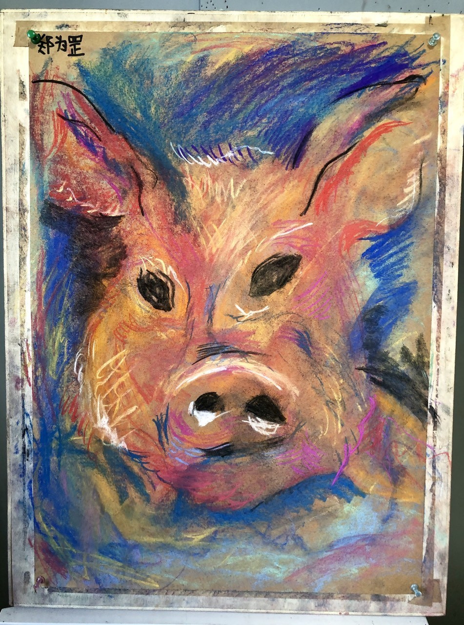 小豬請回家，只有6CM大。 小豬請回家，只有6CM大。 龍魚論壇 第1張