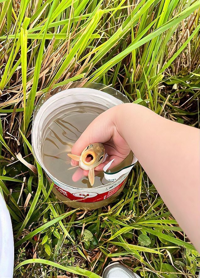 七八斤魚用多大線組【野釣七八斤大魚線組搭配全攻略】 七八斤魚用多大線組【野釣七八斤大魚線組搭配全攻略】 龍魚論壇 第7張