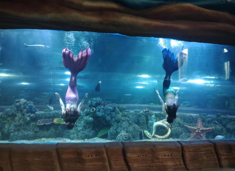 庫爾勒水族店，庫爾勒市擁有多家特色鮮明的水族店，為當地居民及愛好者提供了豐富的選擇 庫爾勒水族店，庫爾勒市擁有多家特色鮮明的水族店，為當地居民及愛好者提供了豐富的選擇 全國水族館企業名錄 第1張