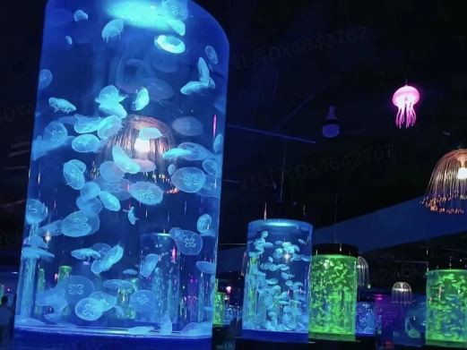庫爾勒水族店，庫爾勒市擁有多家特色鮮明的水族店，為當地居民及愛好者提供了豐富的選擇 庫爾勒水族店，庫爾勒市擁有多家特色鮮明的水族店，為當地居民及愛好者提供了豐富的選擇 全國水族館企業名錄 第3張